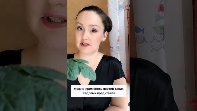 🌿🐛 Борщевик: уничтожаем вредителей без химии! 🌱💥