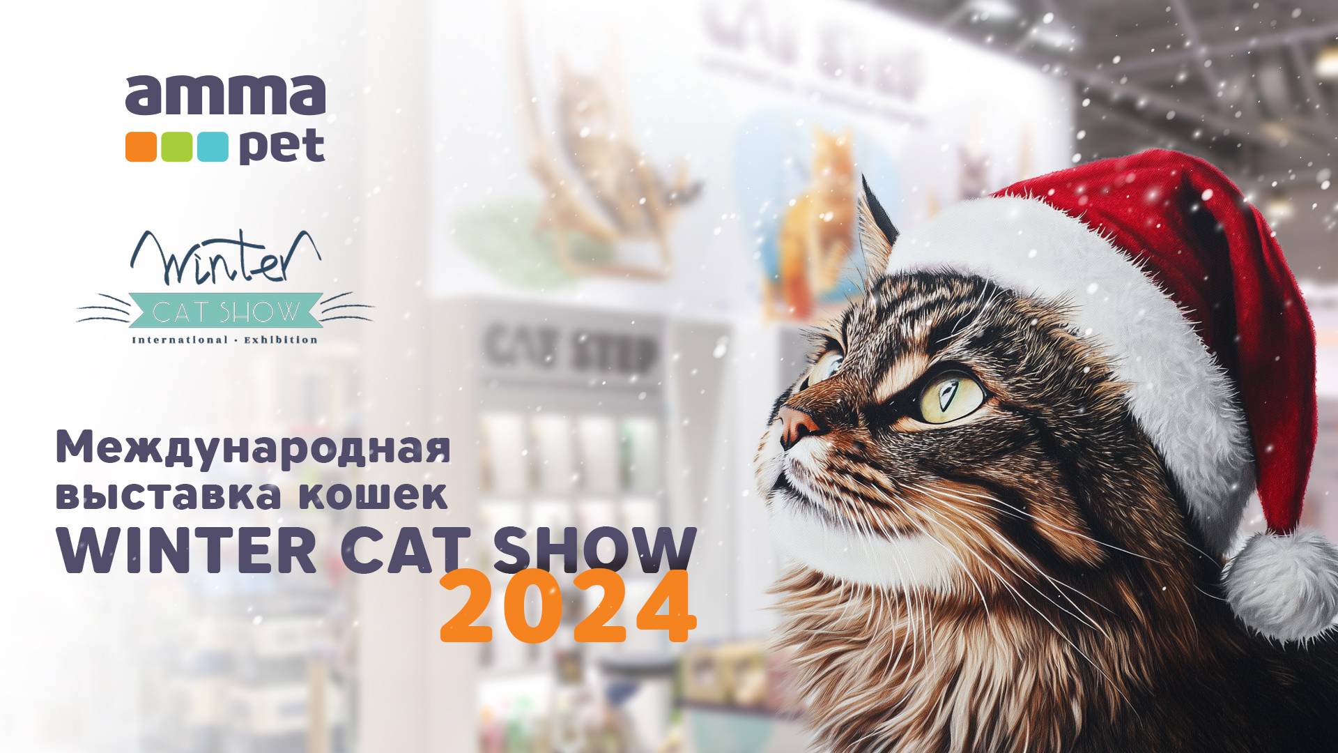 Интервью с участниками Winter Cat Show 2024