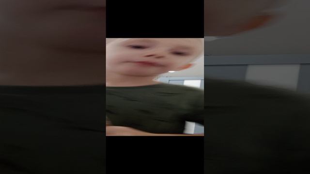 журналы насекомые 69 70