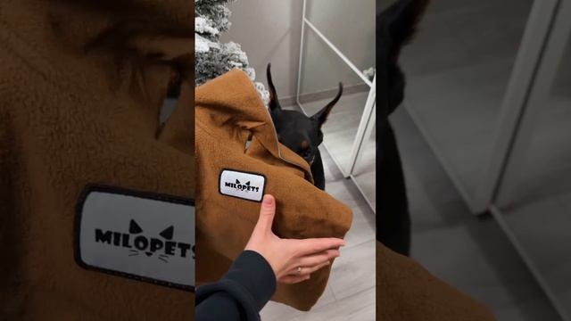 РАСПАКОВКА - как она есть 😎
