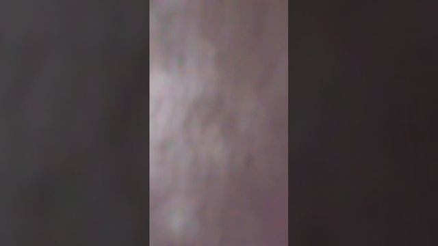 Свадьба
