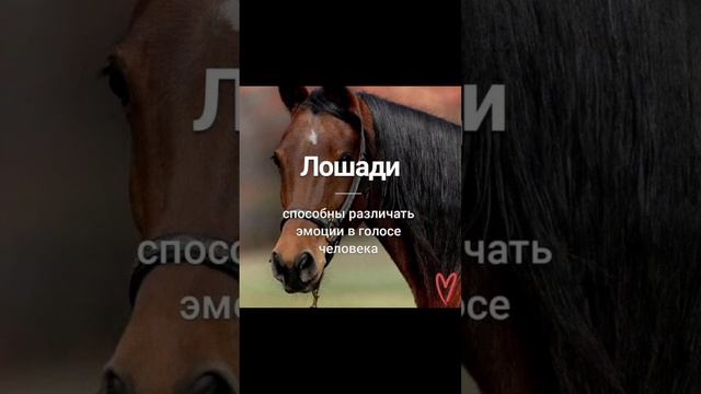 А вы знали ?