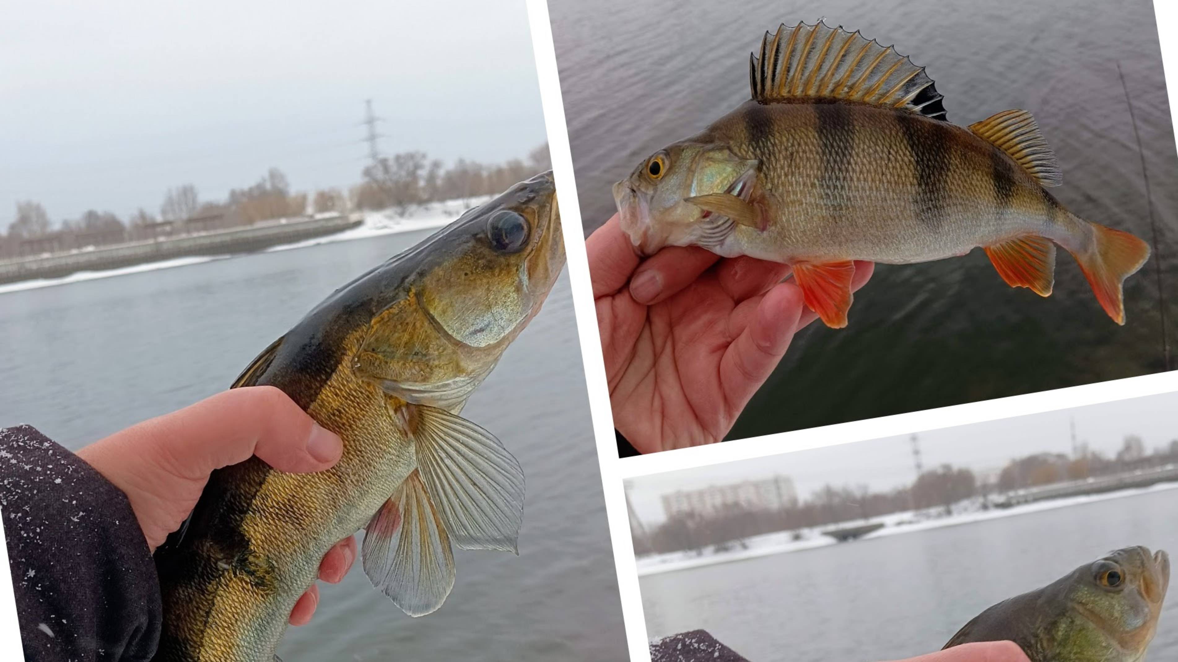 Открыл сезон низкой воды на МР, неплохо получилось!