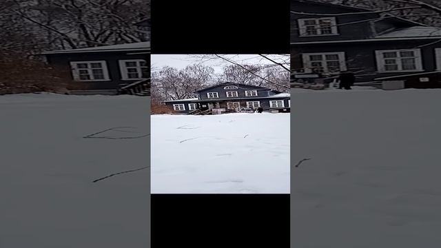 VID_20241214_143414.mp4