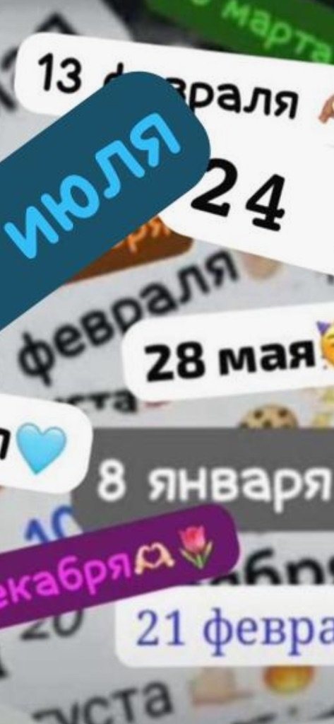 Домик собак