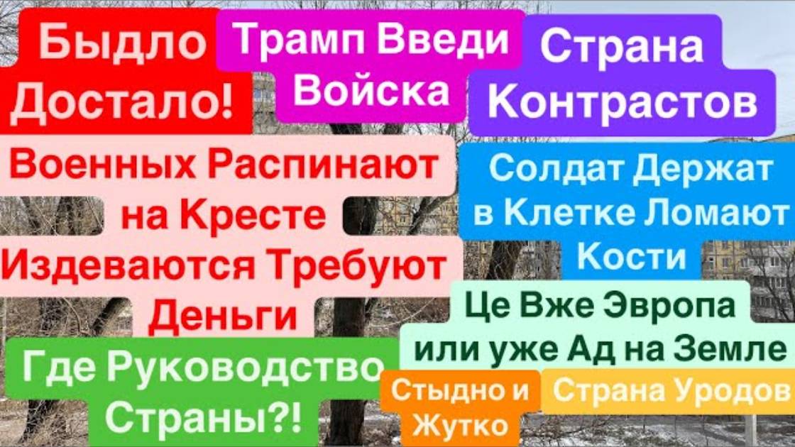 Днепр 17 декабря 2024 г (3)