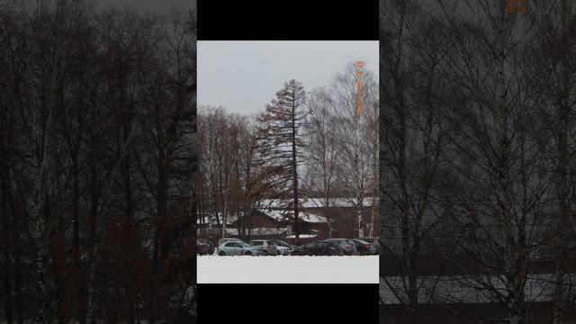 фотки живой природы