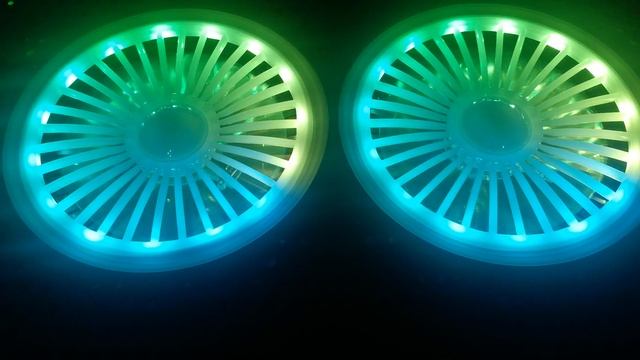 VID_20241216_130916
