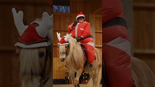 Новый год все ближе и ближе — осталось 15 дней