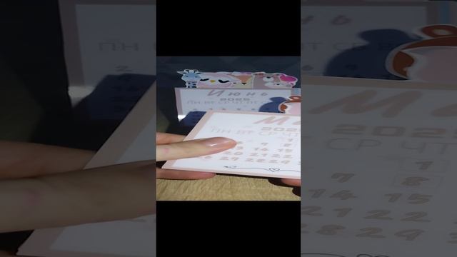 VID_20241217_150546
