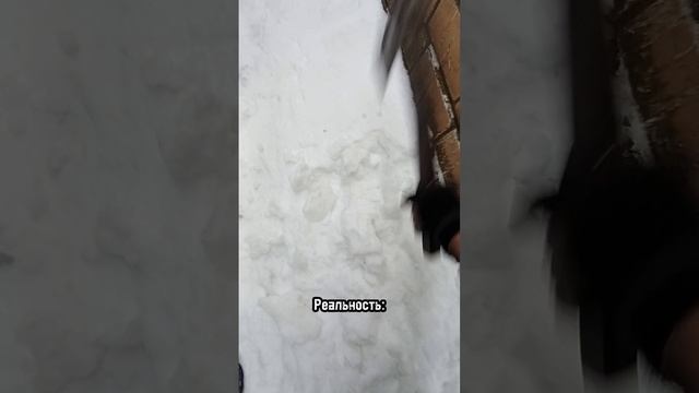 свой дом. ожидание/реальность