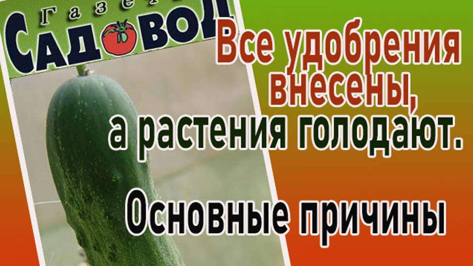 Все удобрения внесены, а растения голодают. Основные причины