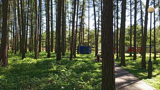Детская железная дорога