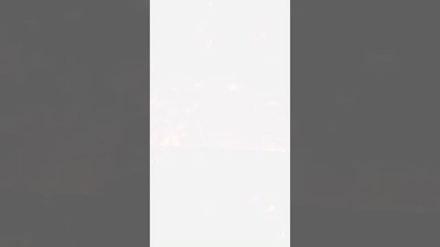 Китайский дракон