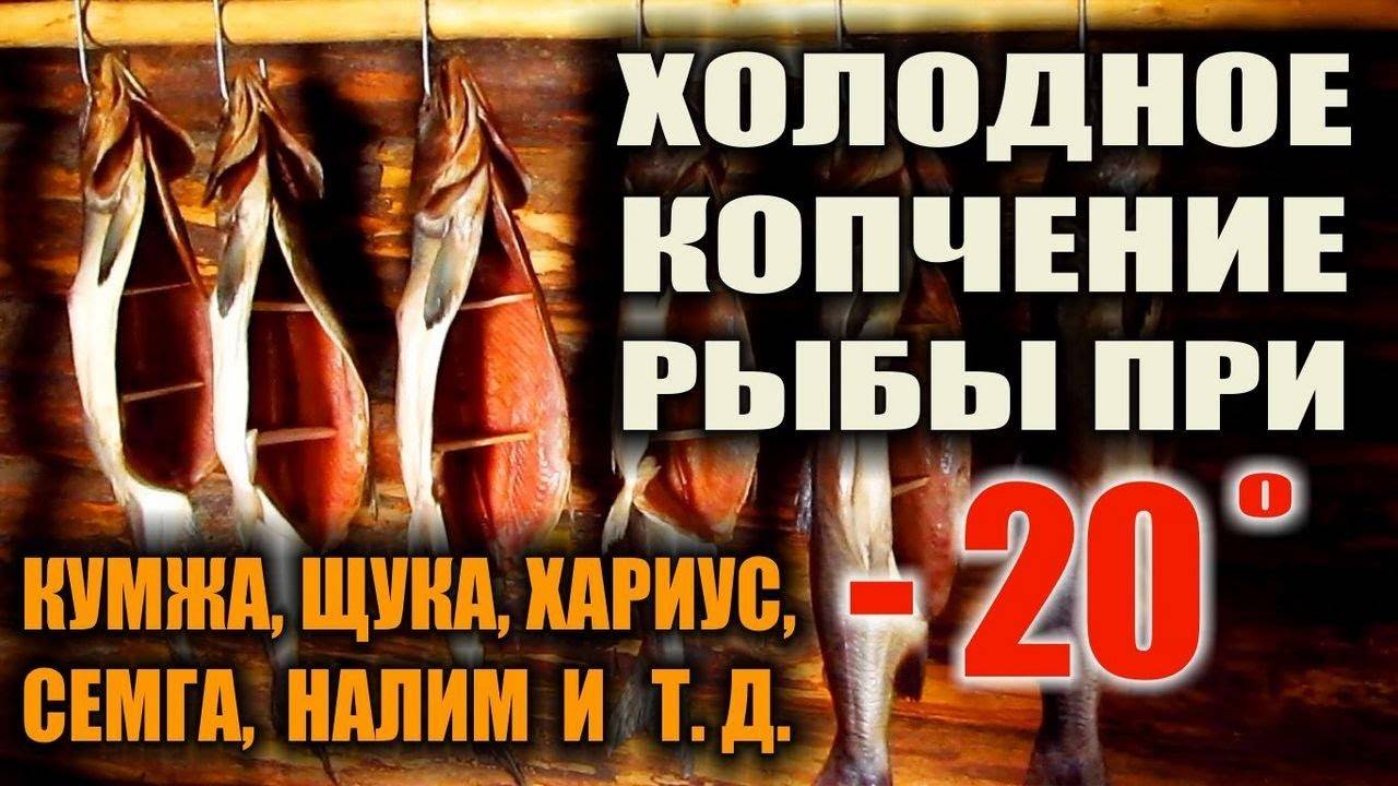 ХОЛОДНОЕ КОПЧЕНИЕ КРАСНОЙ РЫБЫ. Как коптить красную рыбу прямо в лесу в - 20 гр.