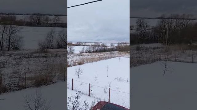 1000023538.mp4