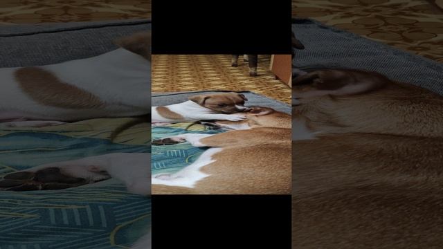 1000001387.mp4