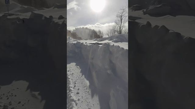 лагонаки