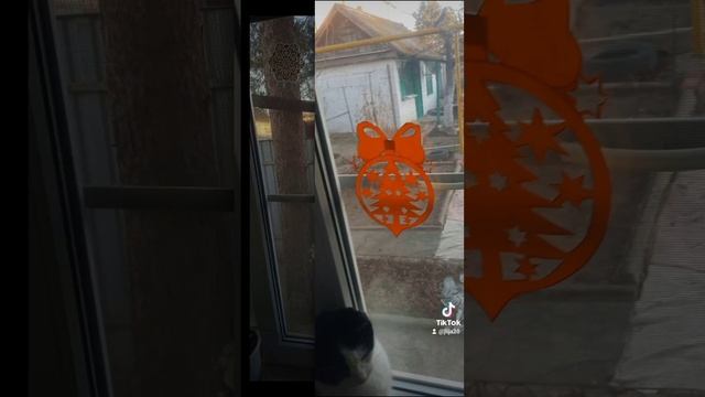 2024-12-15-203058375.mp4