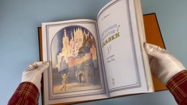 Звёздный мальчик. Сказки (ил. Н. Гольц)