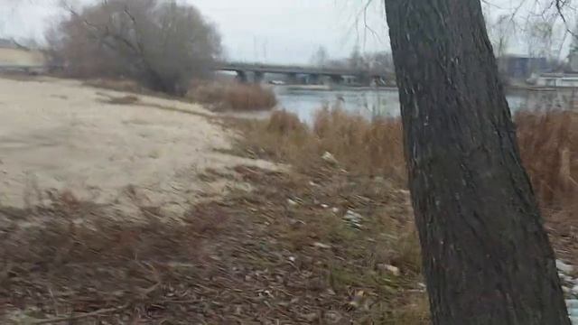 Без комментариев.  Почему так себя ведут жители Ульяновска? В таком состояние берег реки Свияга.