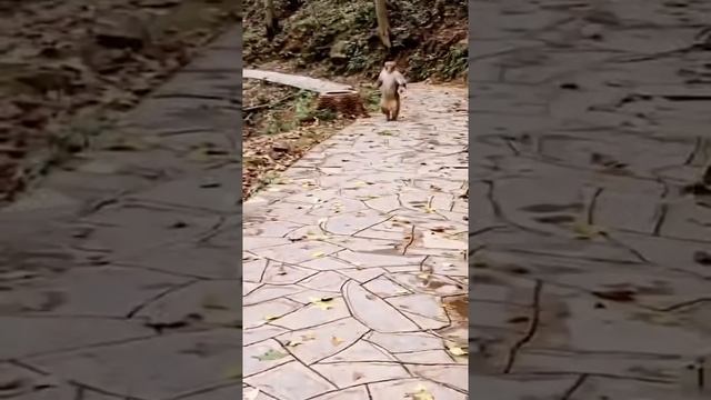 в магазин за пивом