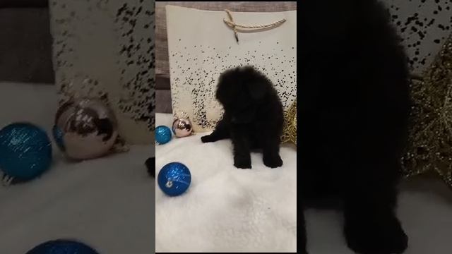 1000009636.mp4