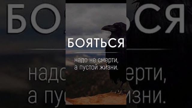 Запомни