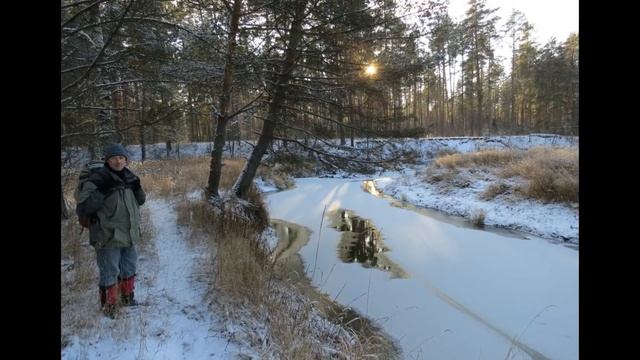 Нерская. Начало зимы. 29 ноября 2018