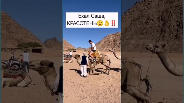 Отзыв моих туристов 🔥
