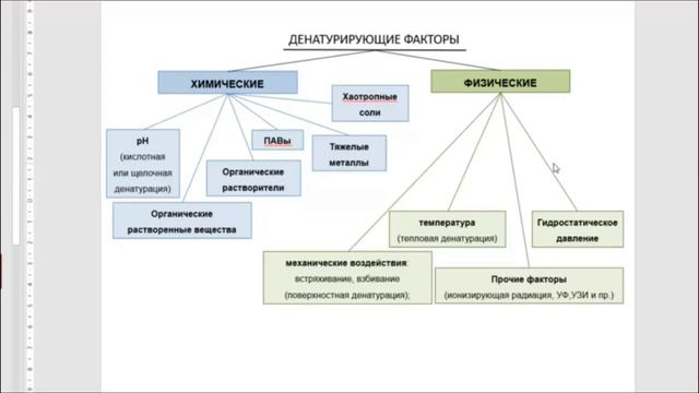 1218_белки