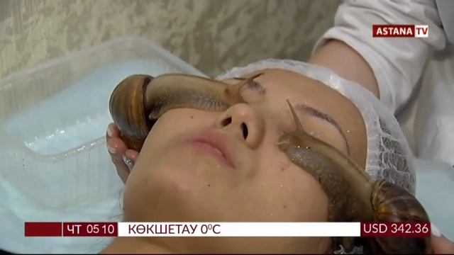 🐌Ұлу терапиясы🐌
