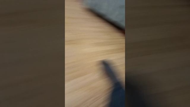 Дима и Миша