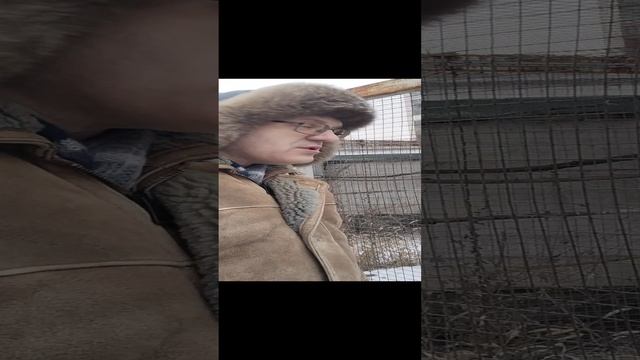 Детки в клетке