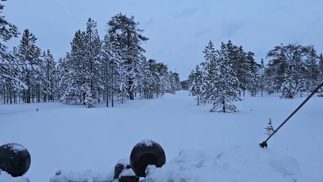 Прогулки по Ямалу