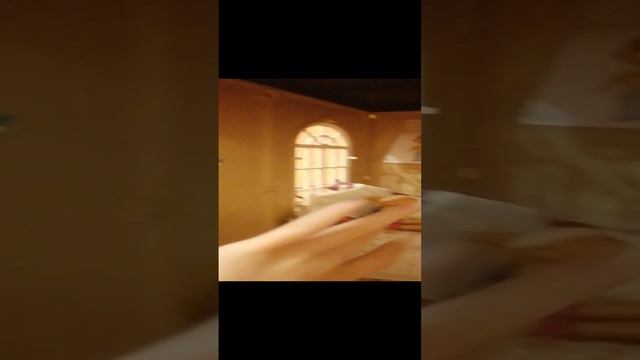 VID_20241217_172422.mp4