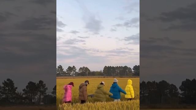 VETYYVER🕊️ - женская одежда, аксессуары, г. Москва #shorts