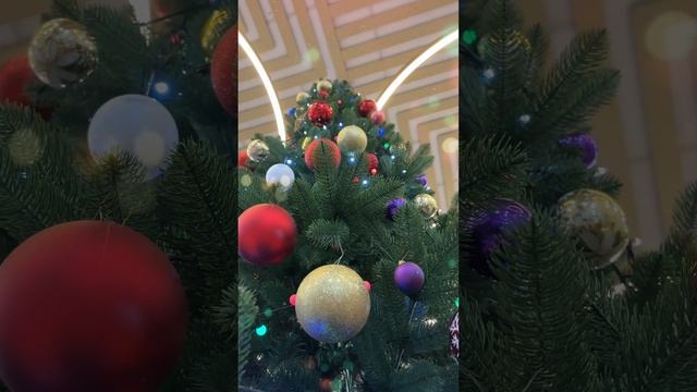 Зеленая красавица готова к Новому году 🎄