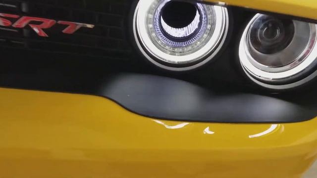 Demon and the  Camaro talking to each other