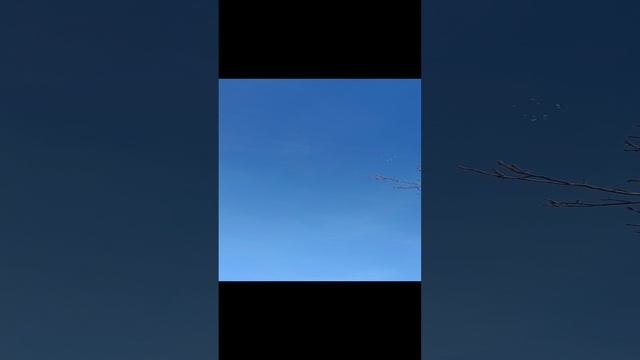 VID_20241215_094154