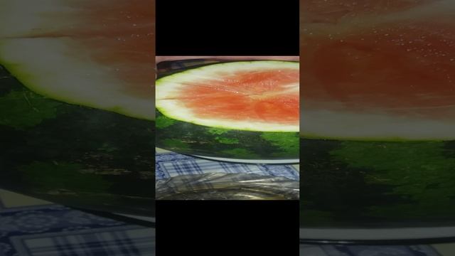 ДЕЛАЕМ СТАВКИ💰!!! РЕЖЕМ АРБУЗ 🍉 В ДЕКАБРЕ!!!