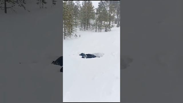 Сальто в коротыжках