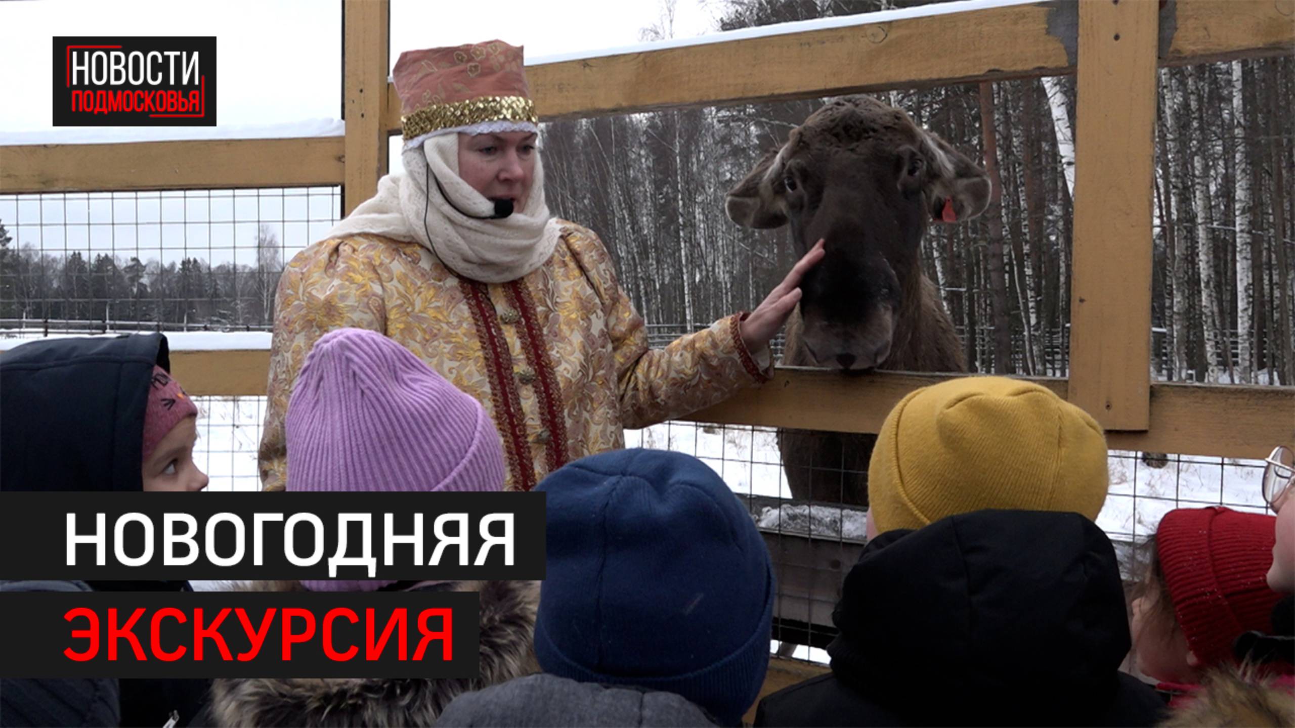 Как интересно провести зимние праздники на Лосиной биостанции