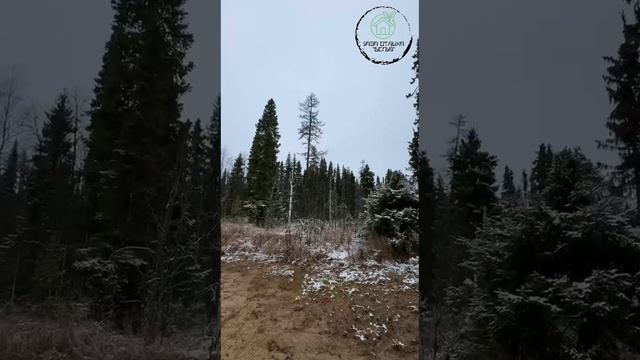 Продуктивные выходные на базе отдыха Велью