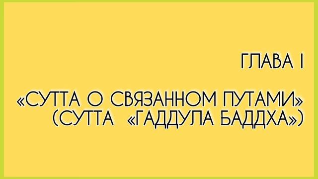 2. Сутты о связанном путами. действие каммы (кармы) . Па-Аук Саядо. Главы 1-2. Аудиокнига (360p)