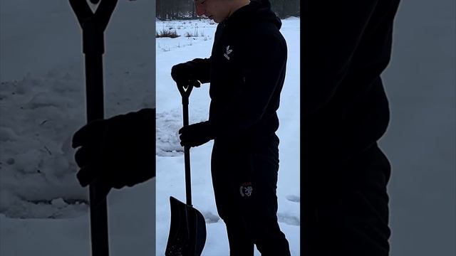 Нас почти 500