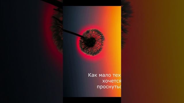 Асадов_Как_много_тех_ШОРТС_1_мин