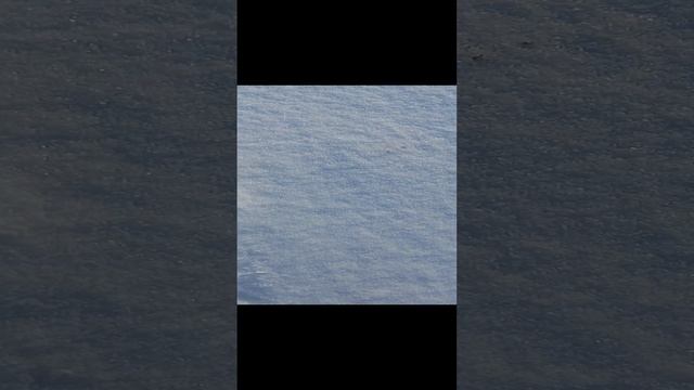 1000011788.mp4