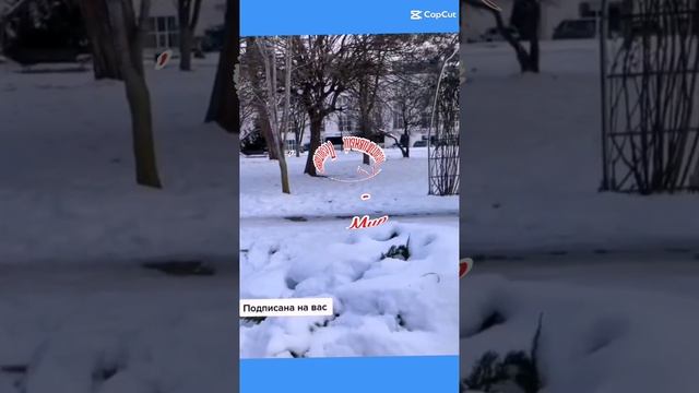 Позитивчик