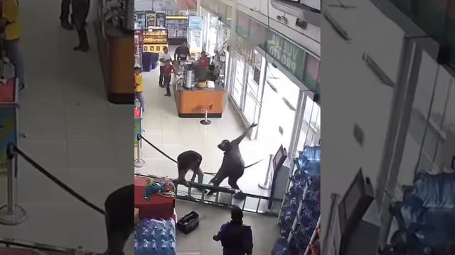 когда бизнес в паре